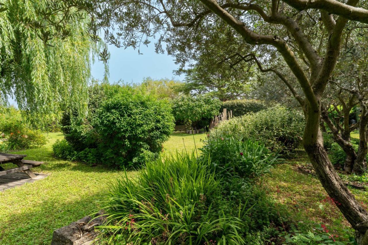 Villa La Mireio Malaucene Ngoại thất bức ảnh